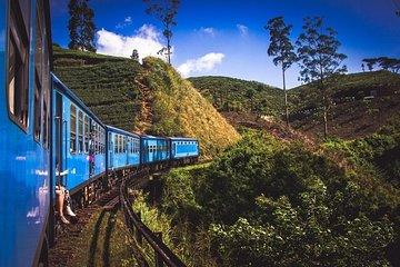 Sri Lanka 7 Days Tour Package – South Coast & Highlands