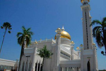 Full Brunei Experience - City Excursion - Water Village and Mangrove Safari
