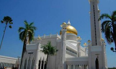 Full Brunei Experience - City Excursion - Water Village and Mangrove Safari