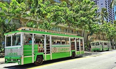 LeaLea Trolley 10-Lines & XploreRide Tour (4-Day Pass)