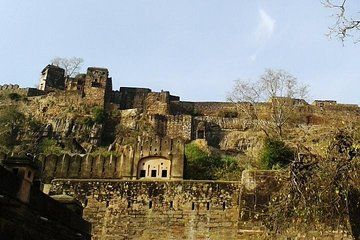 Private 3 Days Tour of Ranthambore The Wildlife Safari