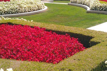 6 hrs up to 6 passengers. Napa or Sonoma Valley Wine Tour by private SUV.