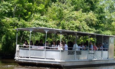 New Orleans Swamp Boat Tour with Shuttle Service