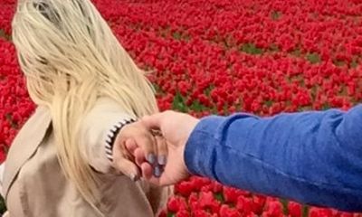 Keukenhof Private Tour & into Flowerfields Off the beaten tracks