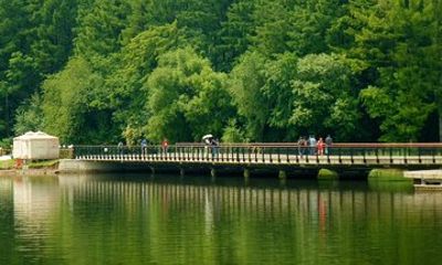 Private Day Tour to Changchun Jingyue Pool with Buffet Dinner