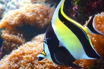 ETHICAL ADVENTURES-Berry Springs &Territory Wildlife Park shuttle