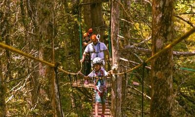 Arborismo in Horto Florestal - Campos Do Jordão