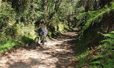 Bicycle rental in Horto Florestal - Campos do Jordão