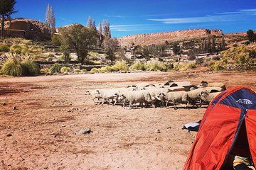 Altiplanicos Towns Tour