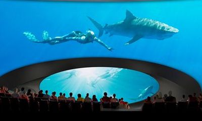 Skip the Ticketing Line: Aquarium of the Pacific General Admission Ticket