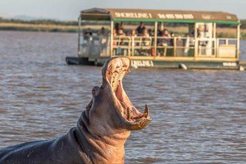 Hluhluwe & St Lucia Tour_ 1night 2Days Cost: R9950pp _2 or more