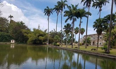 Barbados Amazing Full Day Private Rural Excursion