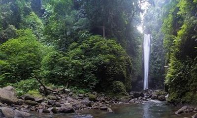 Dumaguete Casaroro Falls