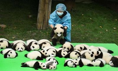 2 Days Leisure Tours in Sichuan
