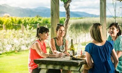 Full Day Winemakers Tour in Marlborough