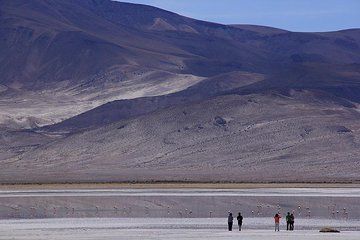 Iquique, Salar del Huasco National Park - Full day