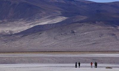 Iquique, Salar del Huasco National Park - Full day