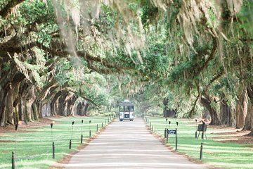 Boone Hall Plantation All-Access Admission Ticket
