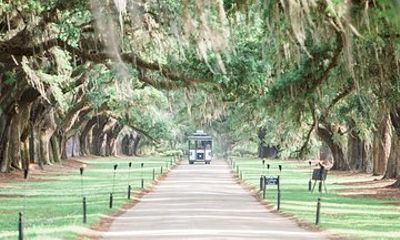Boone Hall Plantation All-Access Admission Ticket