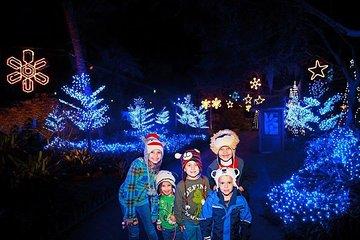 Christmas in the Wild at Tampa's Lowry Park Zoo