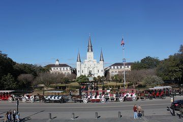 Private New Orleans 3-Hour Historical and Sightseeing Tour