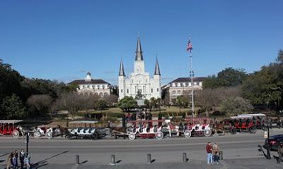Private New Orleans 3-Hour Historical and Sightseeing Tour