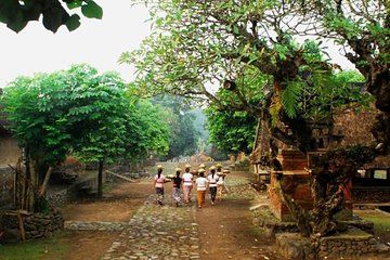 A Cultural Journey In East Bali: Bali Aga Trekking Tour