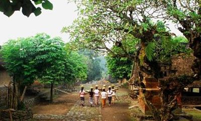 A Cultural Journey In East Bali: Bali Aga Trekking Tour