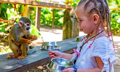 Monkeyland & Plantation Safari Full Day from Juan Dolio