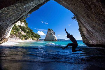 10 Day Auckland to Wellington Hihi Adventure Tour
