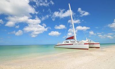 Beach Island Shelling Cruise to Keewaydin Island Tour