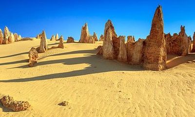 Full-Day Pinnacles Desert and Yanchep National Park Tour From Perth