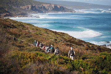 8-Day Cape to Cape Track Guided Walking Tour from Perth