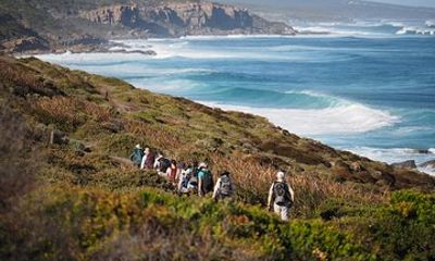 8-Day Cape to Cape Track Guided Walking Tour from Perth