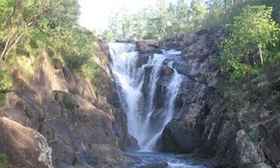 Jungle Farm ride + Big Rock Waterfall