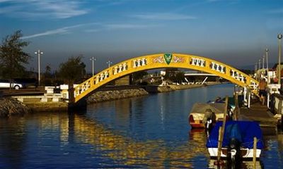 Aveiro Private Cooking Experience (for vacation rental guests)