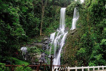 Puerto Galera Snorkeling Activities