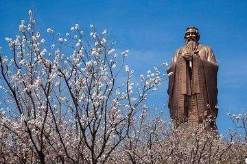 Qufu Private Tour to Confucius Temple, Family Mansion, Cemetery and Ni Mountain