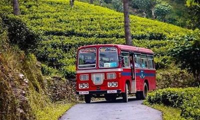 Private Sri Lanka Tea Center and Factory tour