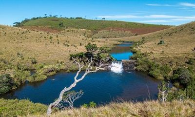 Private Tour to Horton Plaines by Van