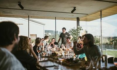 Wine Tasting with Pairing Snacks in Vipava Valley
