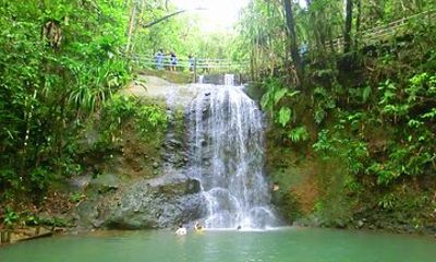 Customized Suva day tour