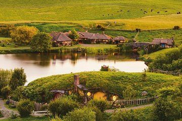 Hobbiton, Rotorua and Te Puia: Small Group -Auckland Return or Rotorua Drop Off