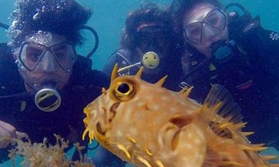 Immerse yourself in Coral Park