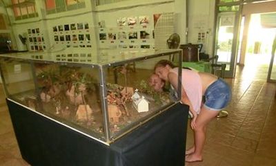 Suva Customized tour- Private