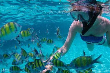 Mactan Cebu Island Hopping with Lunch - Gilutungan, Caohagan, Nalusuan