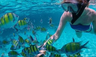 Mactan Cebu Island Hopping with Lunch - Gilutungan, Caohagan, Nalusuan