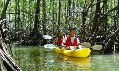 Damas Island Kayaking Tour From Manuel Antonio