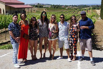 Deluxe wine tasting tour & Lunch