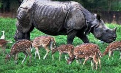 Guwahati Day Tour with Lunch and Sunset River Cruise